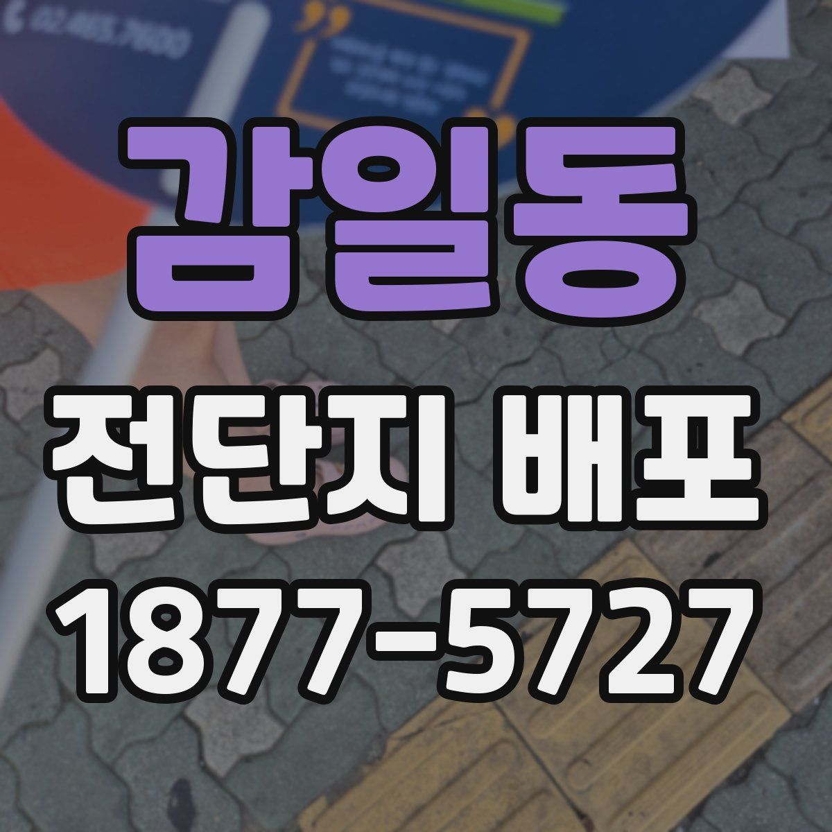 감일동 전단지 배포