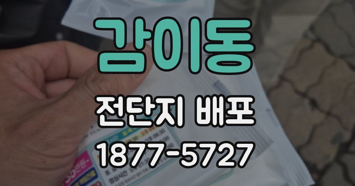 감이동 전단지 배포