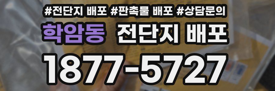 학암동 전단지 배포