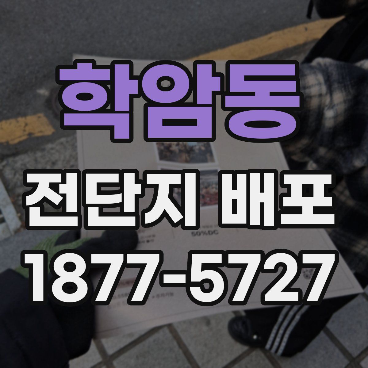 학암동 전단지 배포