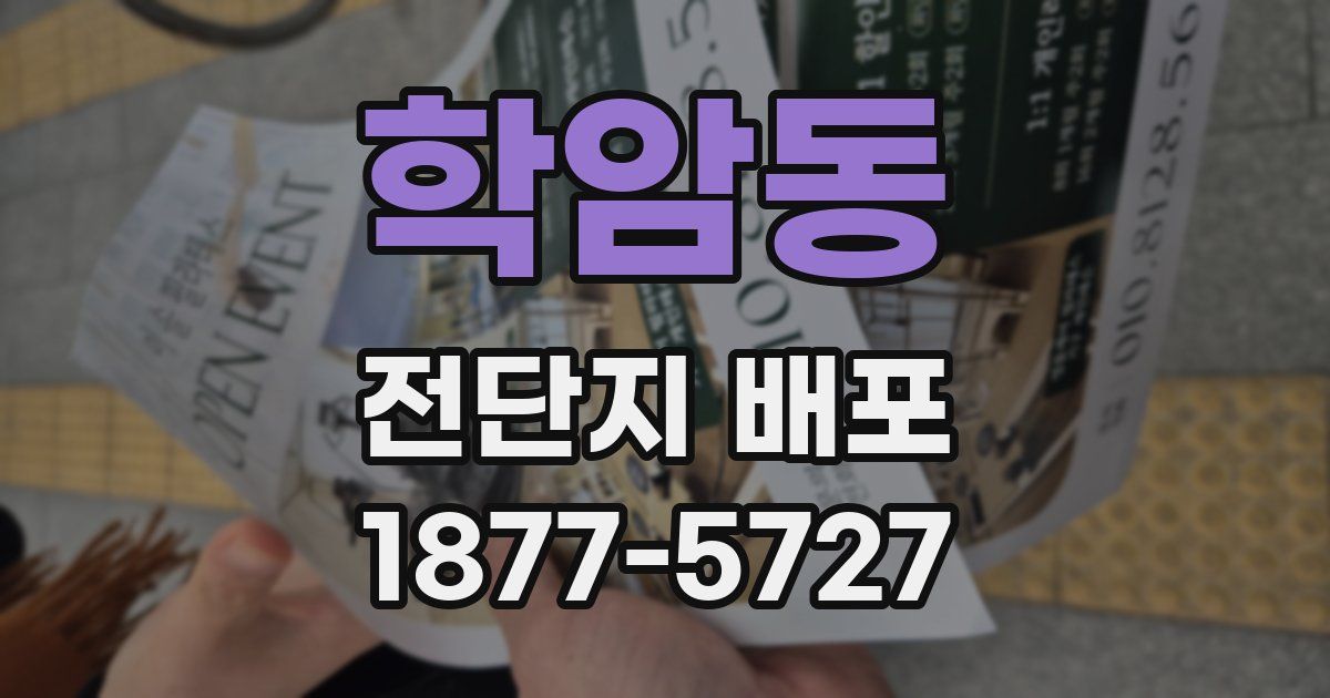 학암동 전단지 배포