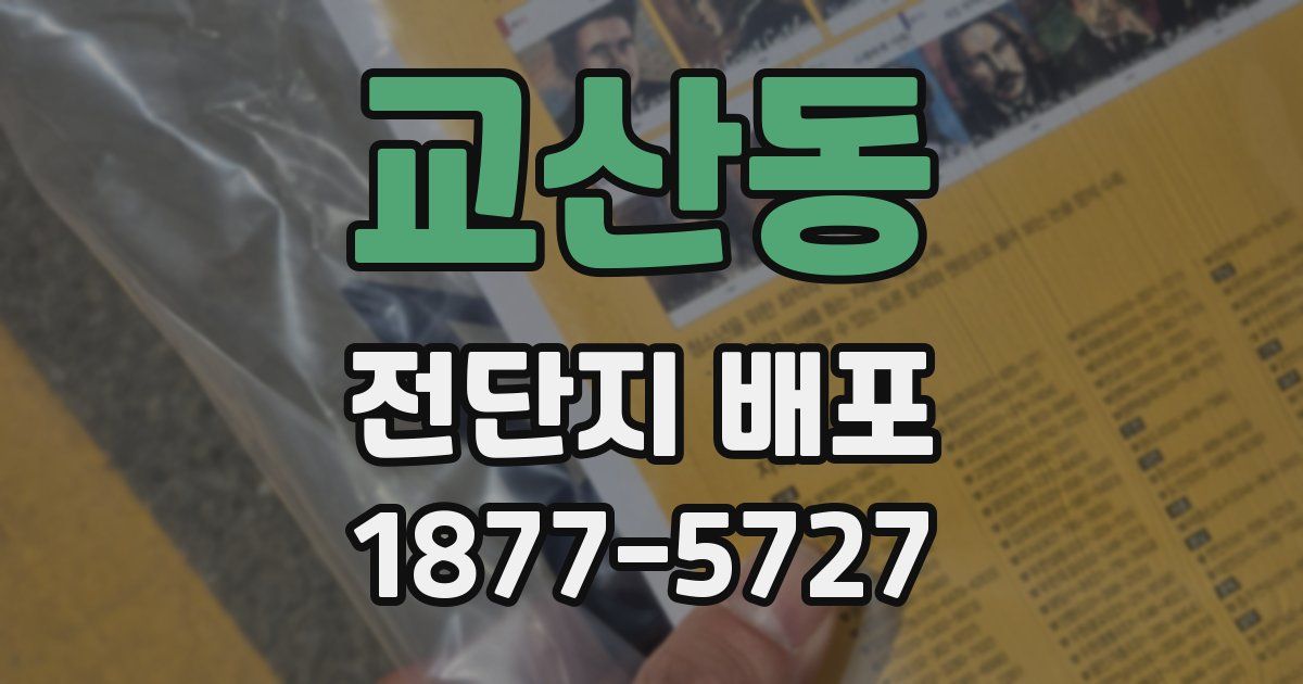 교산동 전단지 배포