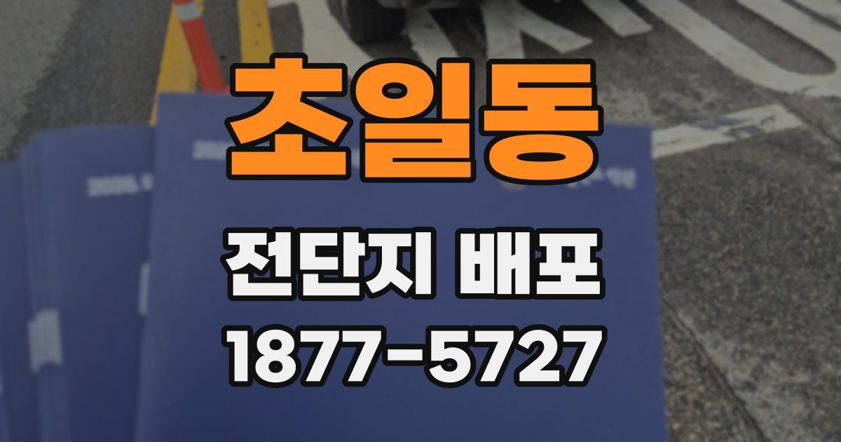 초일동 전단지 배포