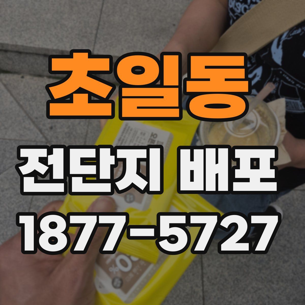 초일동 전단지 배포