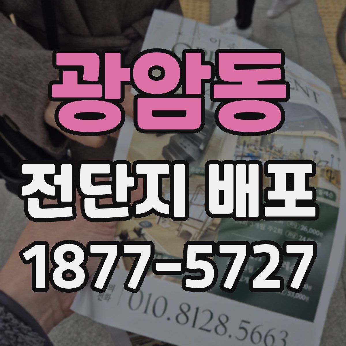 광암동 전단지 배포