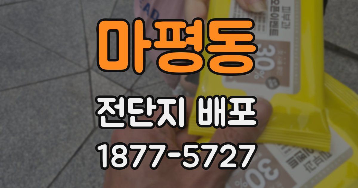 마평동 전단지 배포