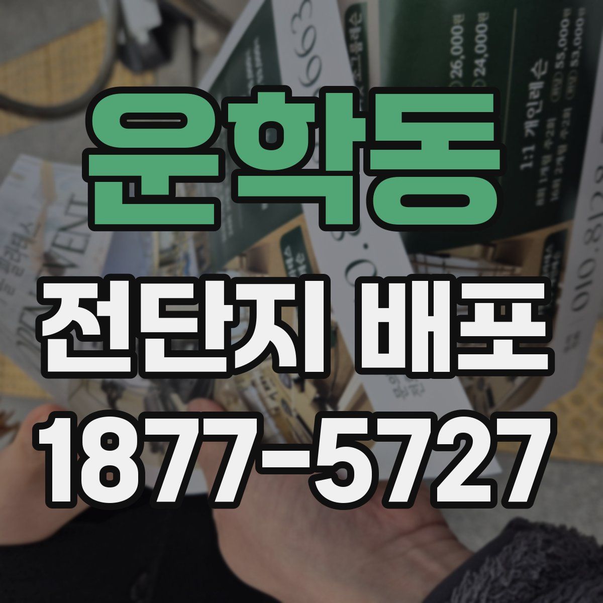 운학동 전단지 배포