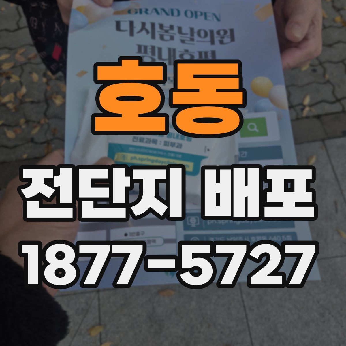 호동 전단지 배포