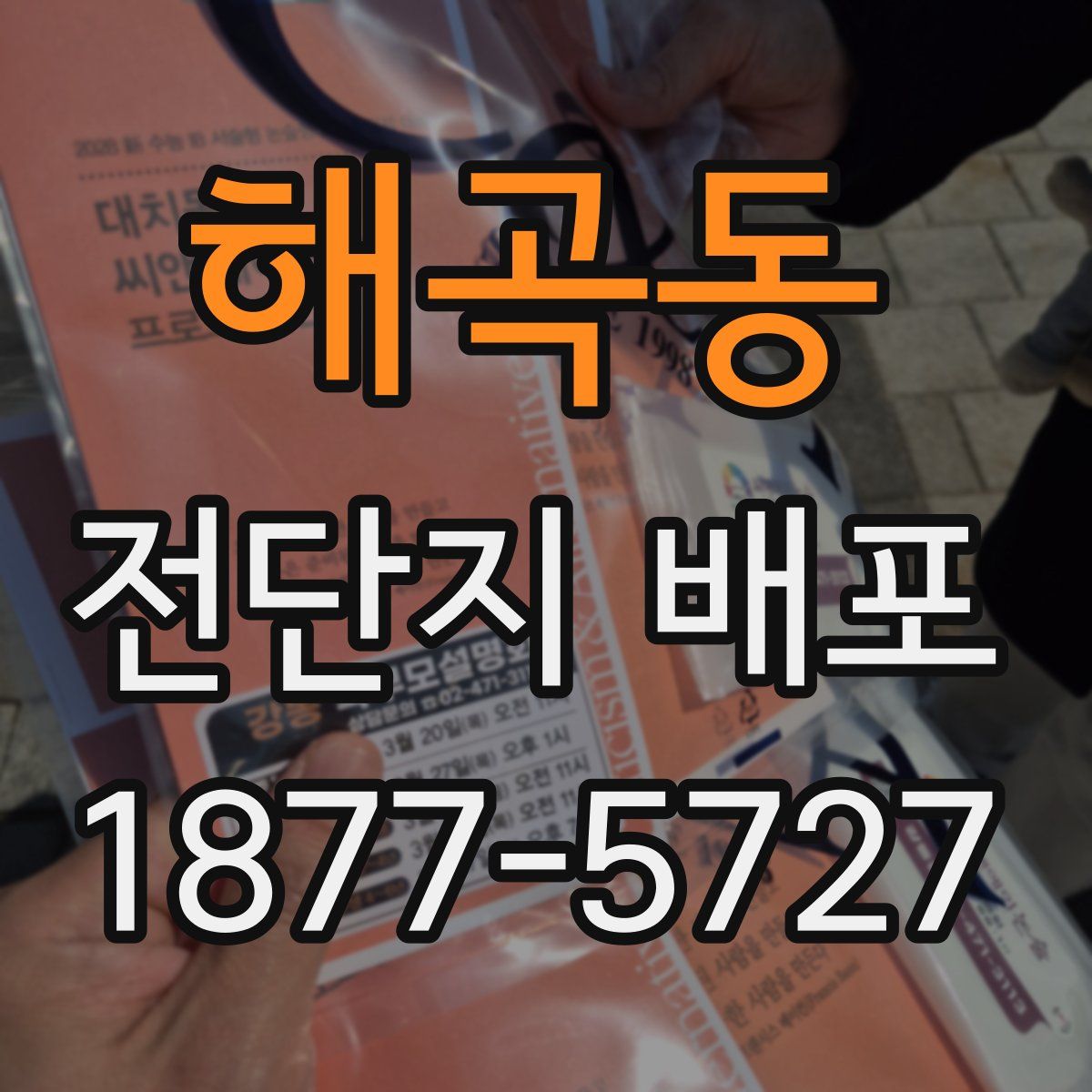해곡동 전단지 배포