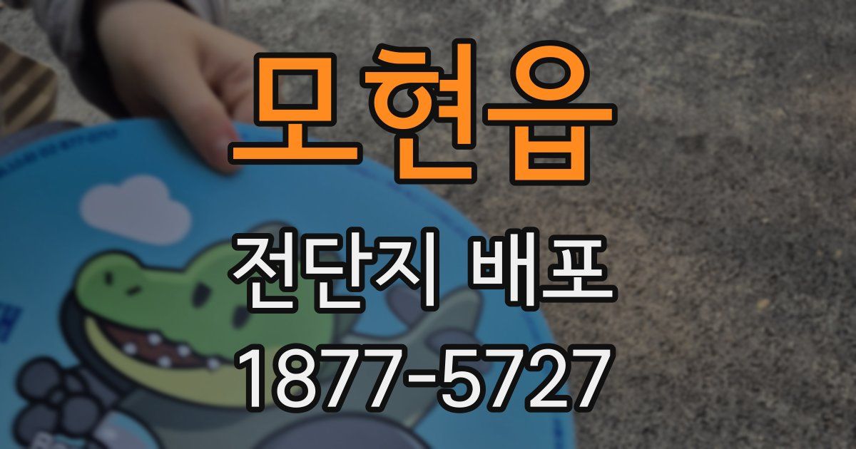 모현읍 전단지 배포