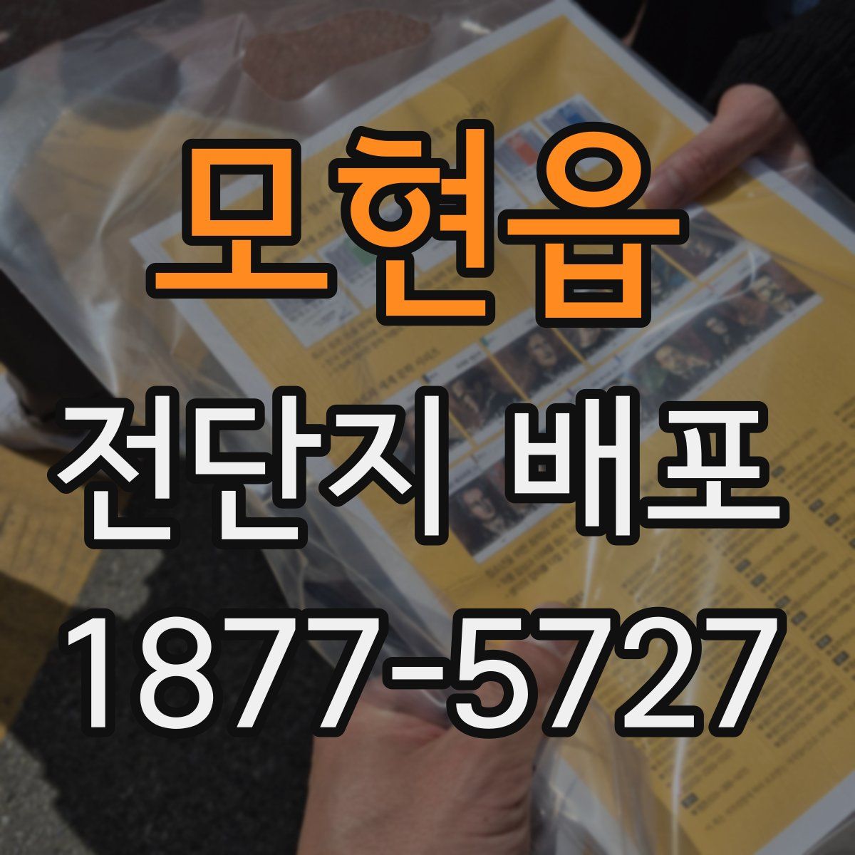 모현읍 전단지 배포