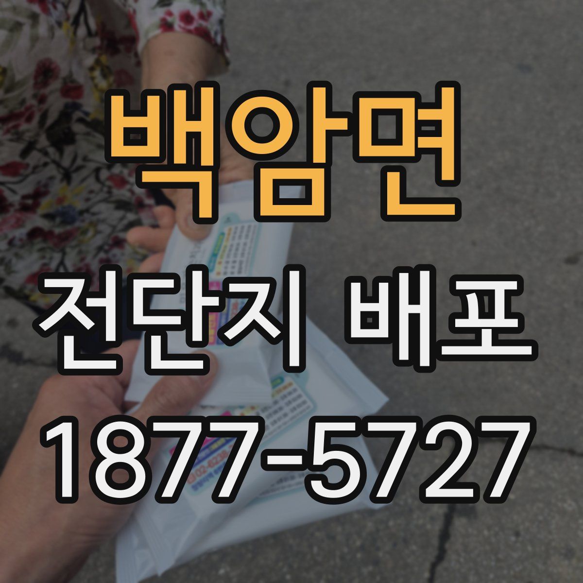 백암면 전단지 배포