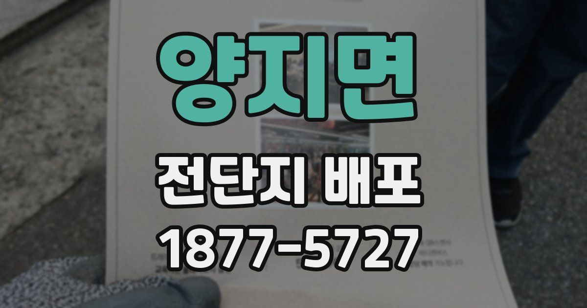 양지면 전단지 배포