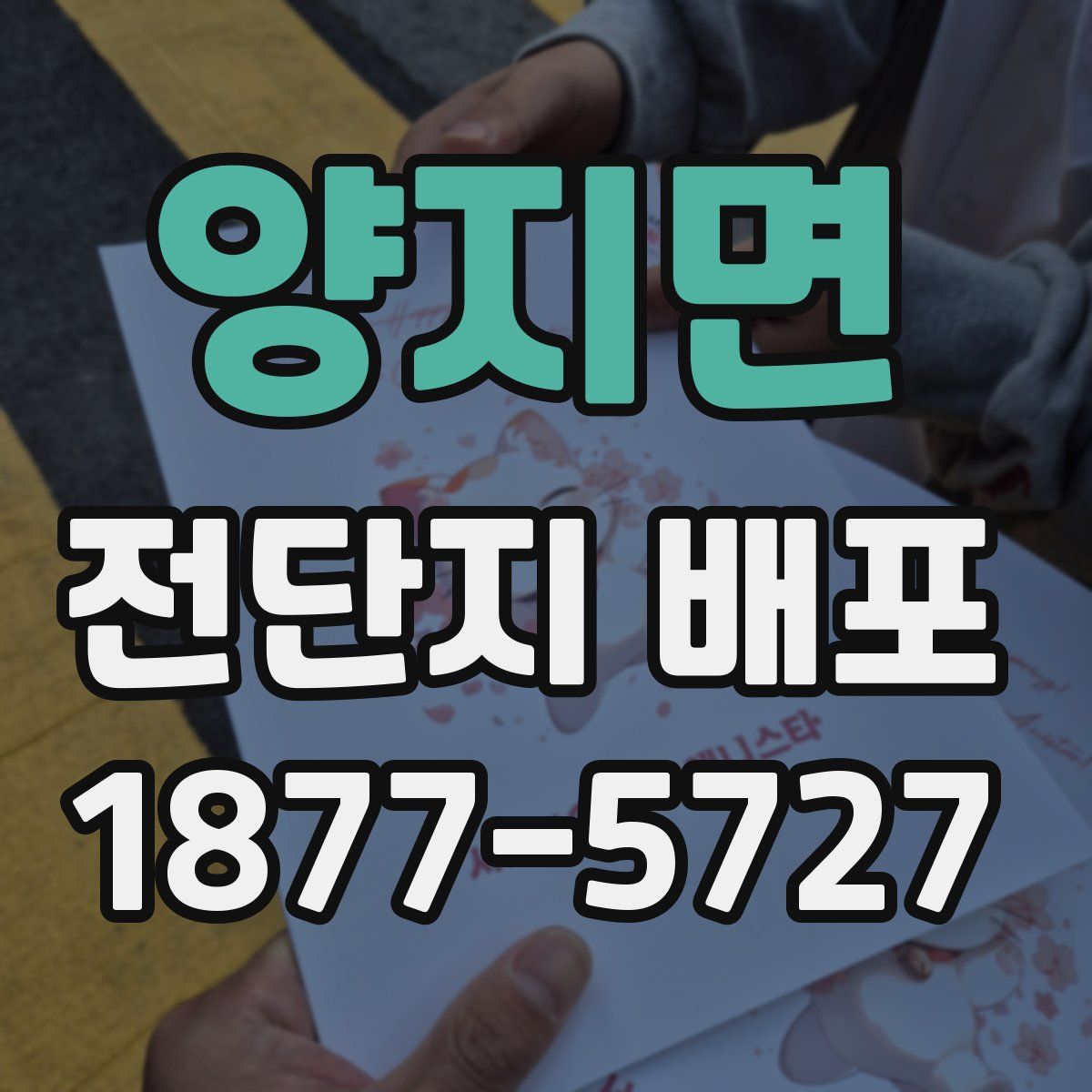 양지면 전단지 배포
