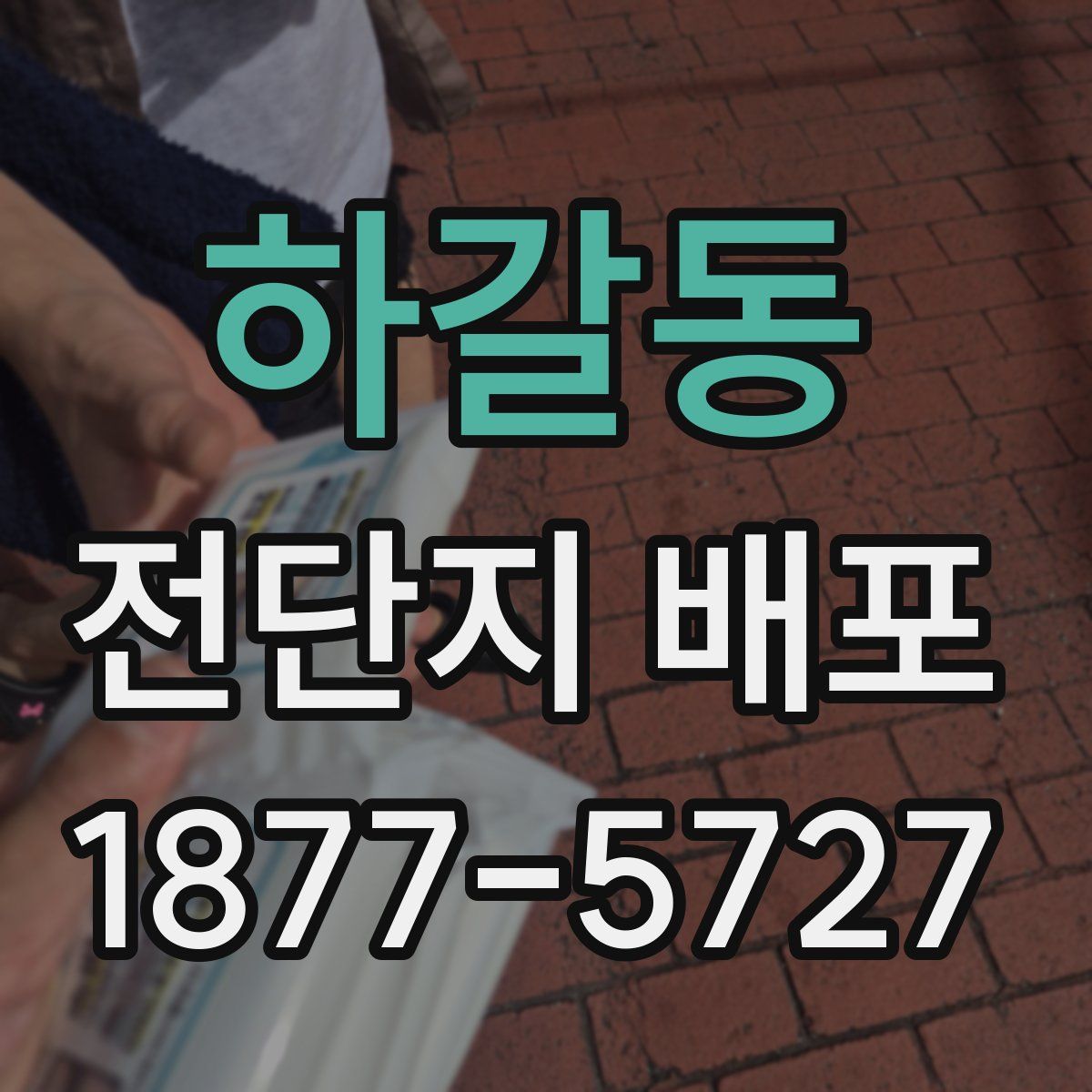 하갈동 전단지 배포
