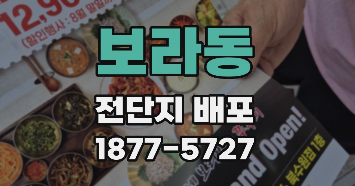 보라동 전단지 배포