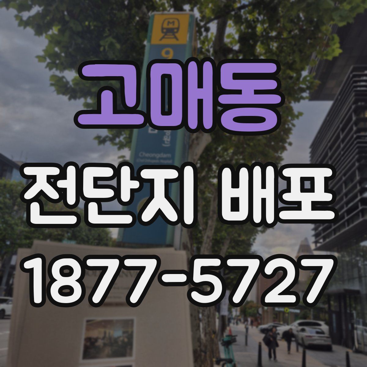 고매동 전단지 배포