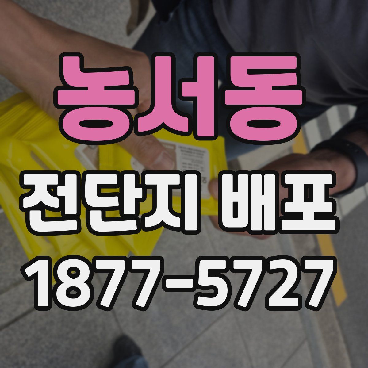 농서동 전단지 배포