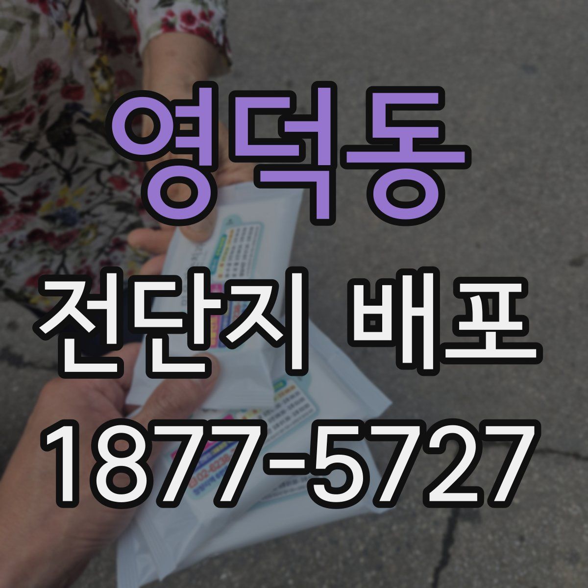 영덕동 전단지 배포