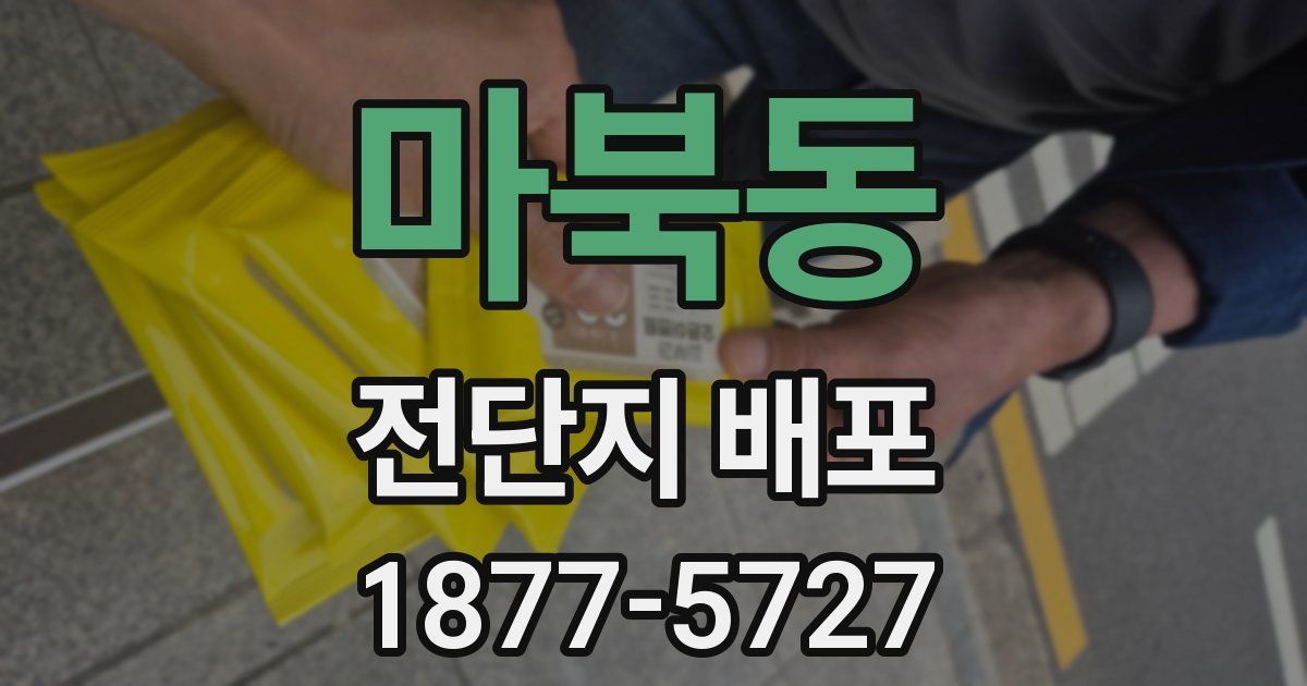 마북동 전단지 배포