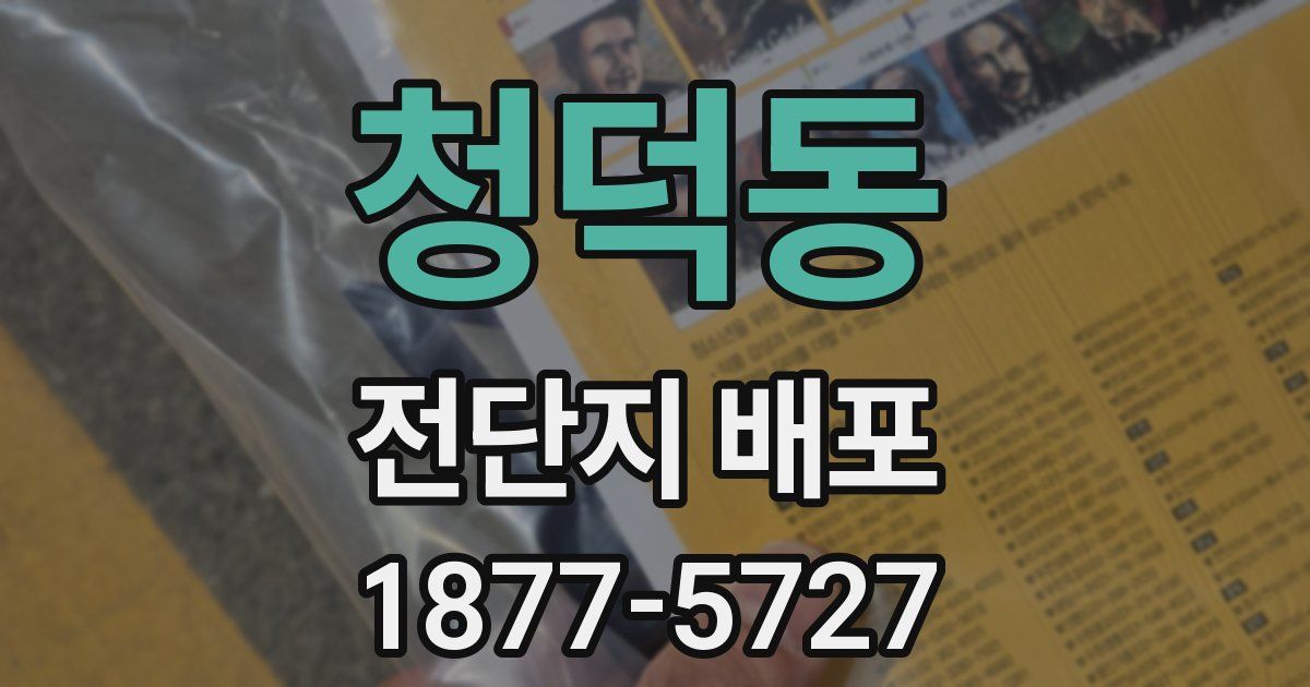 청덕동 전단지 배포