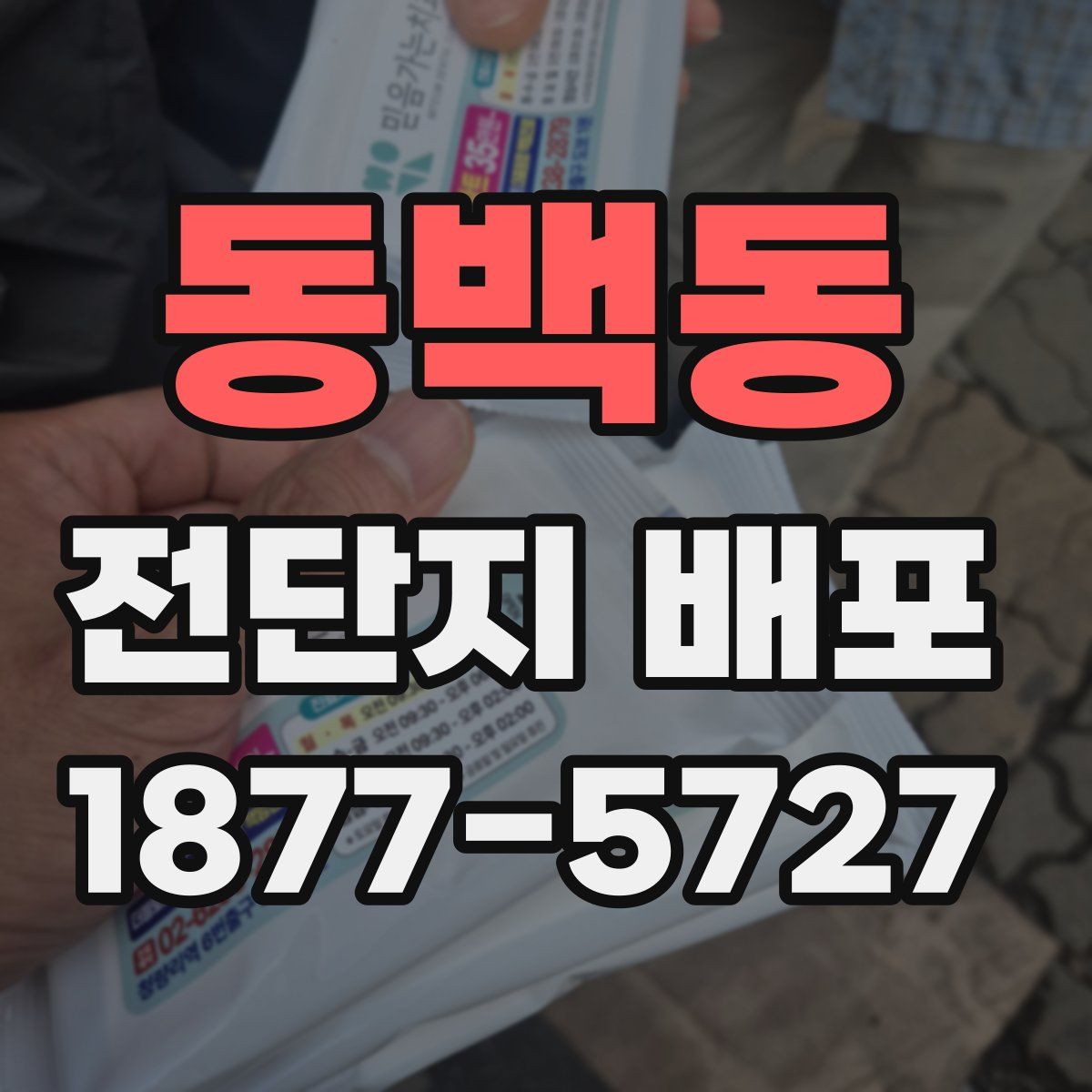 동백동 전단지 배포