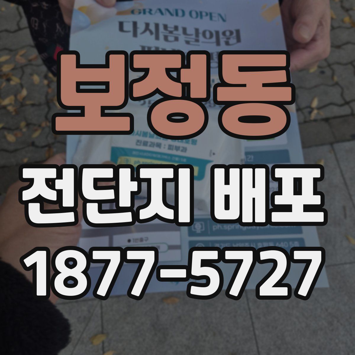 보정동 전단지 배포