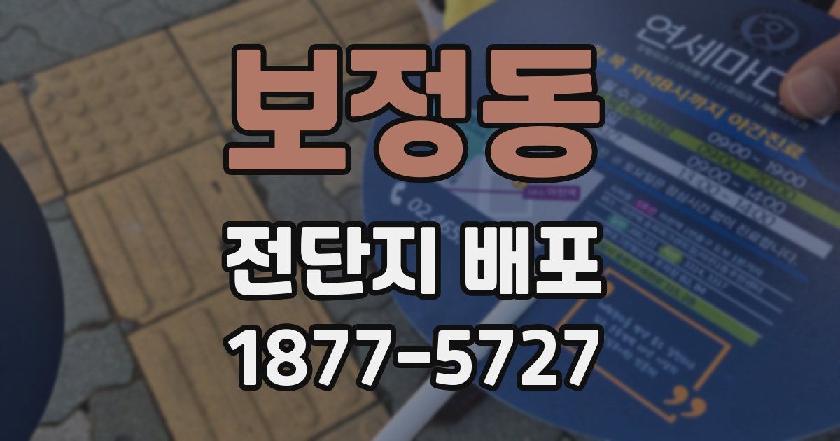 보정동 전단지 배포