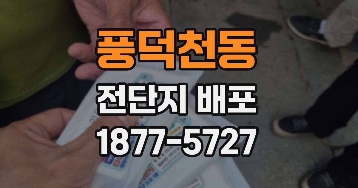 풍덕천동 전단지 배포