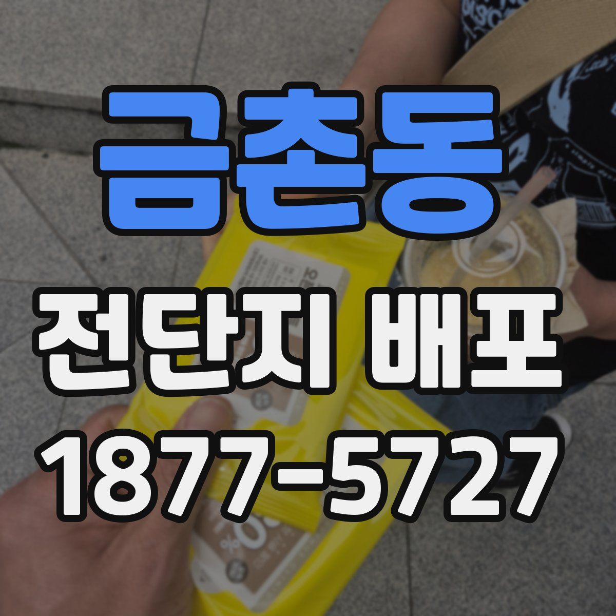 금촌동 전단지 배포