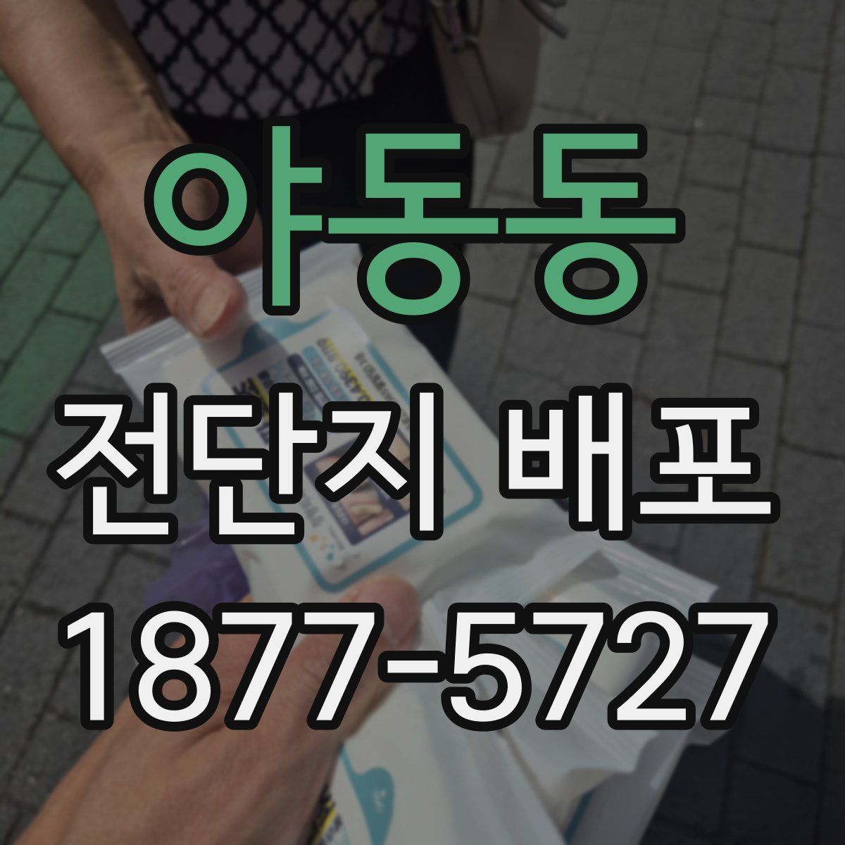 야동동 전단지 배포
