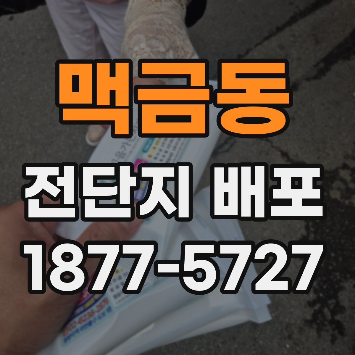 맥금동 전단지 배포