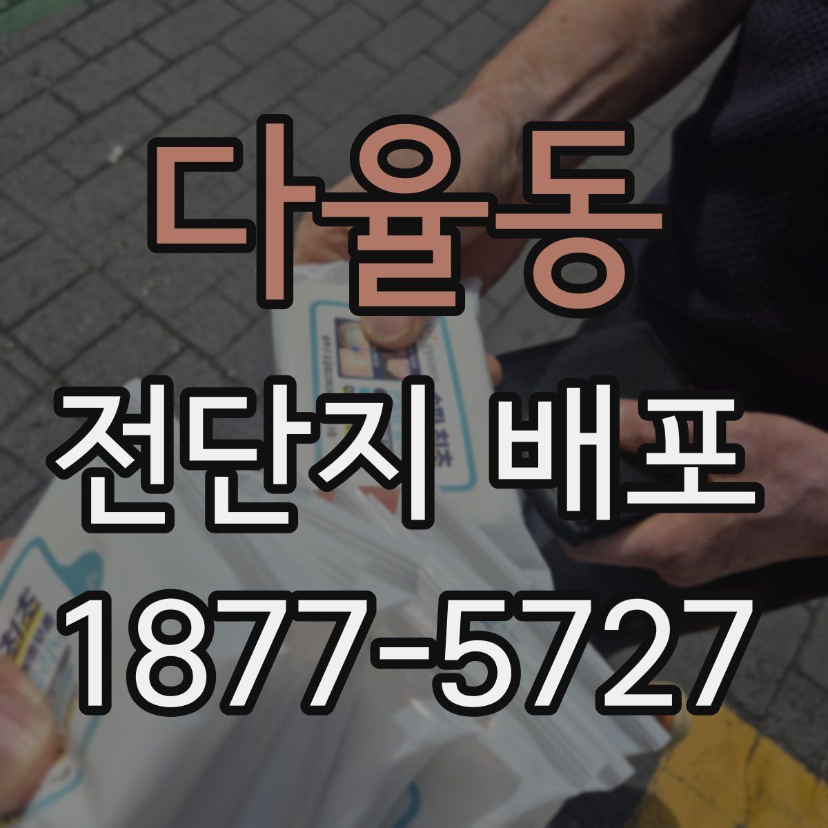 다율동 전단지 배포