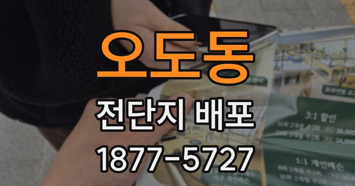오도동 전단지 배포