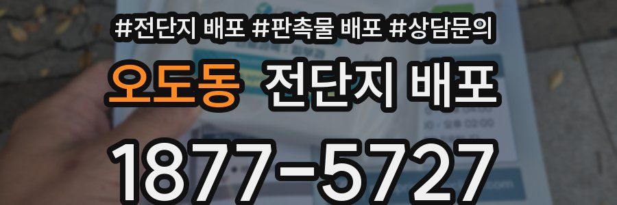 오도동 전단지 배포