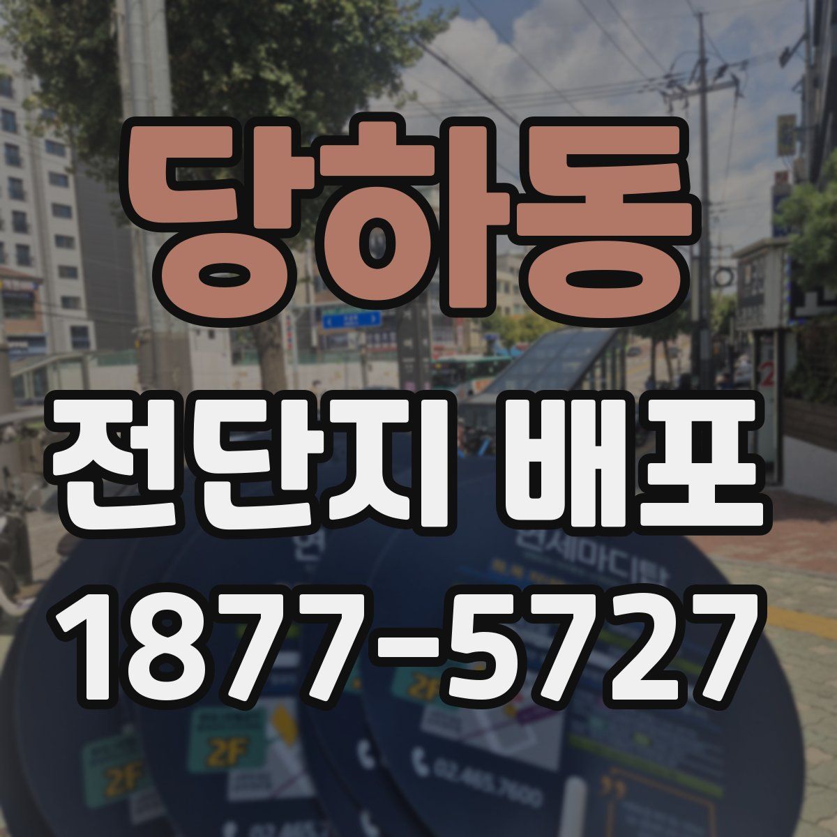 당하동 전단지 배포