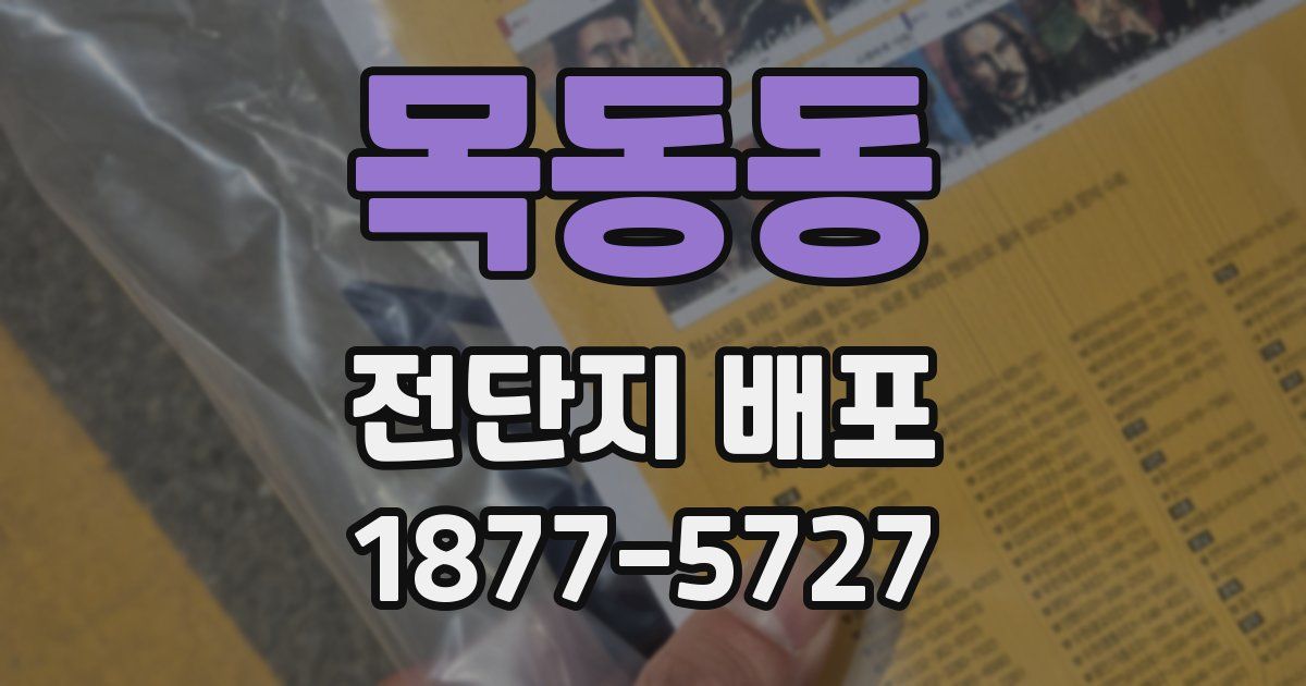 목동동 전단지 배포