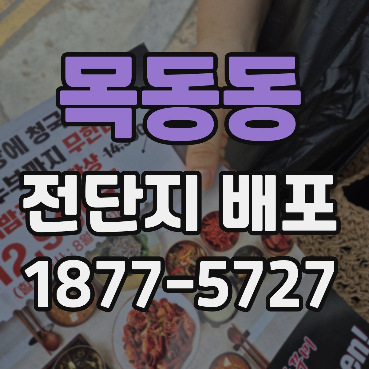 목동동 전단지 배포