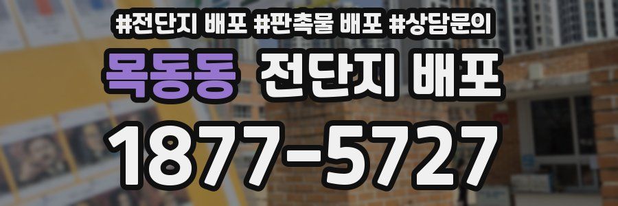 목동동 전단지 배포