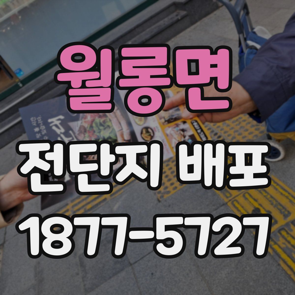 월롱면 전단지 배포