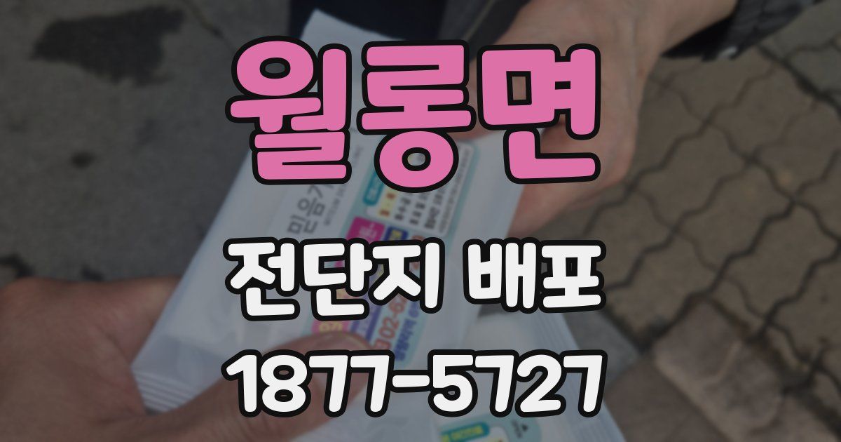 월롱면 전단지 배포