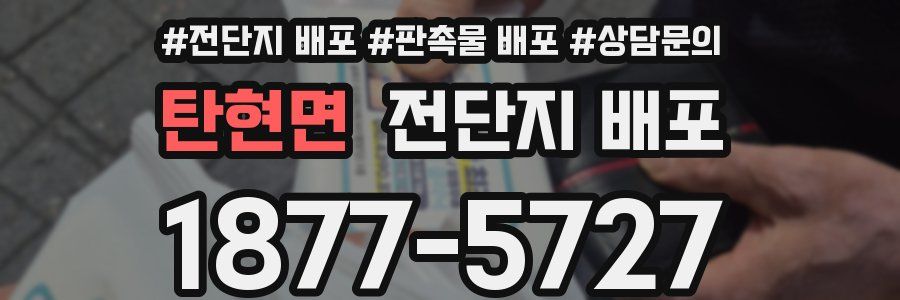 탄현면 전단지 배포