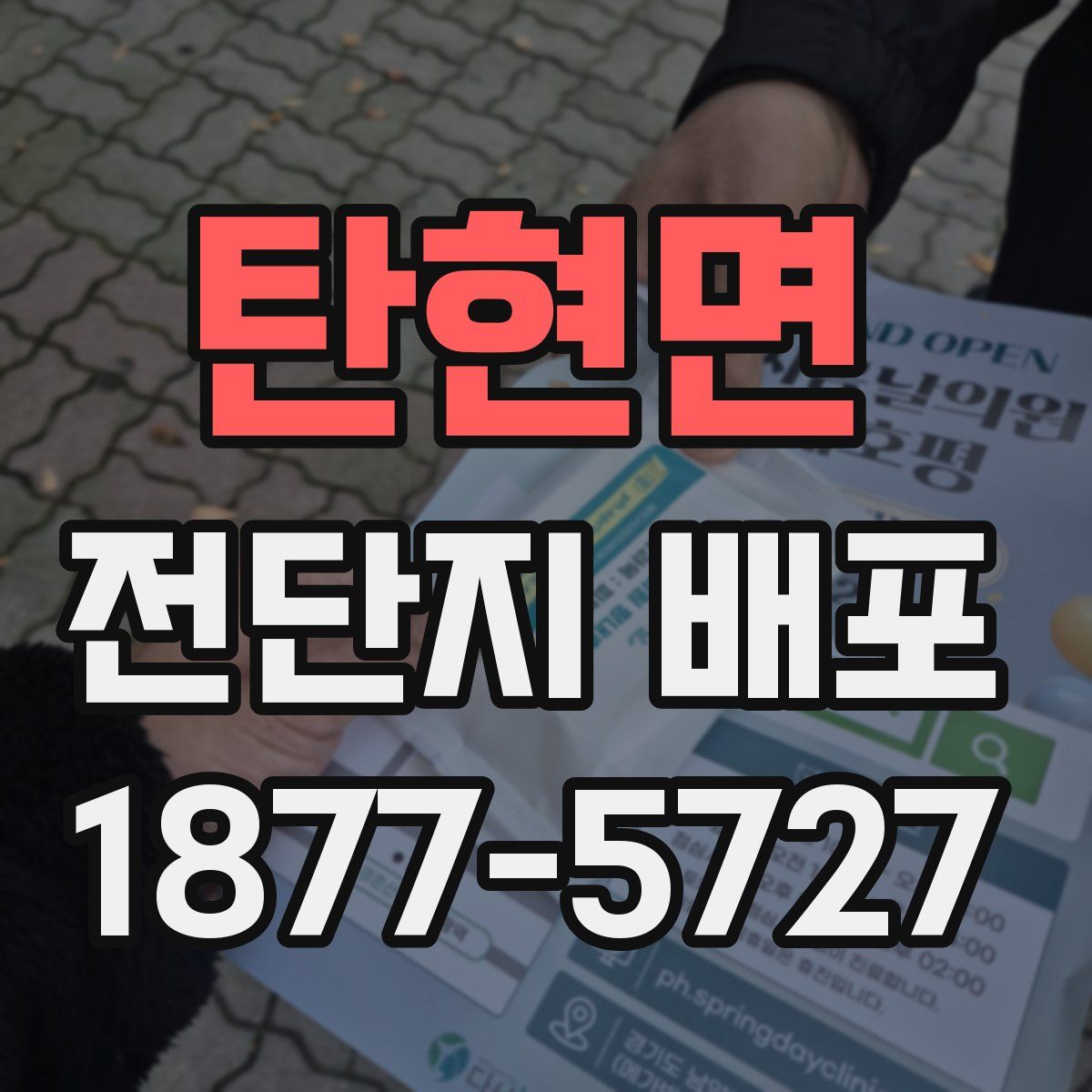 탄현면 전단지 배포