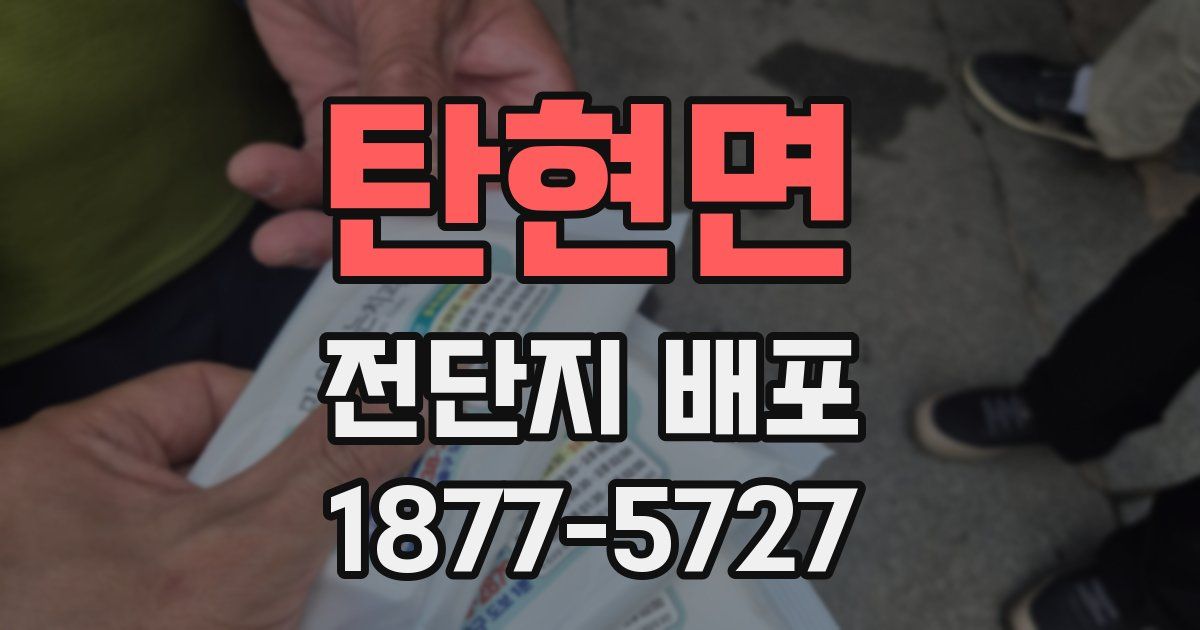 탄현면 전단지 배포
