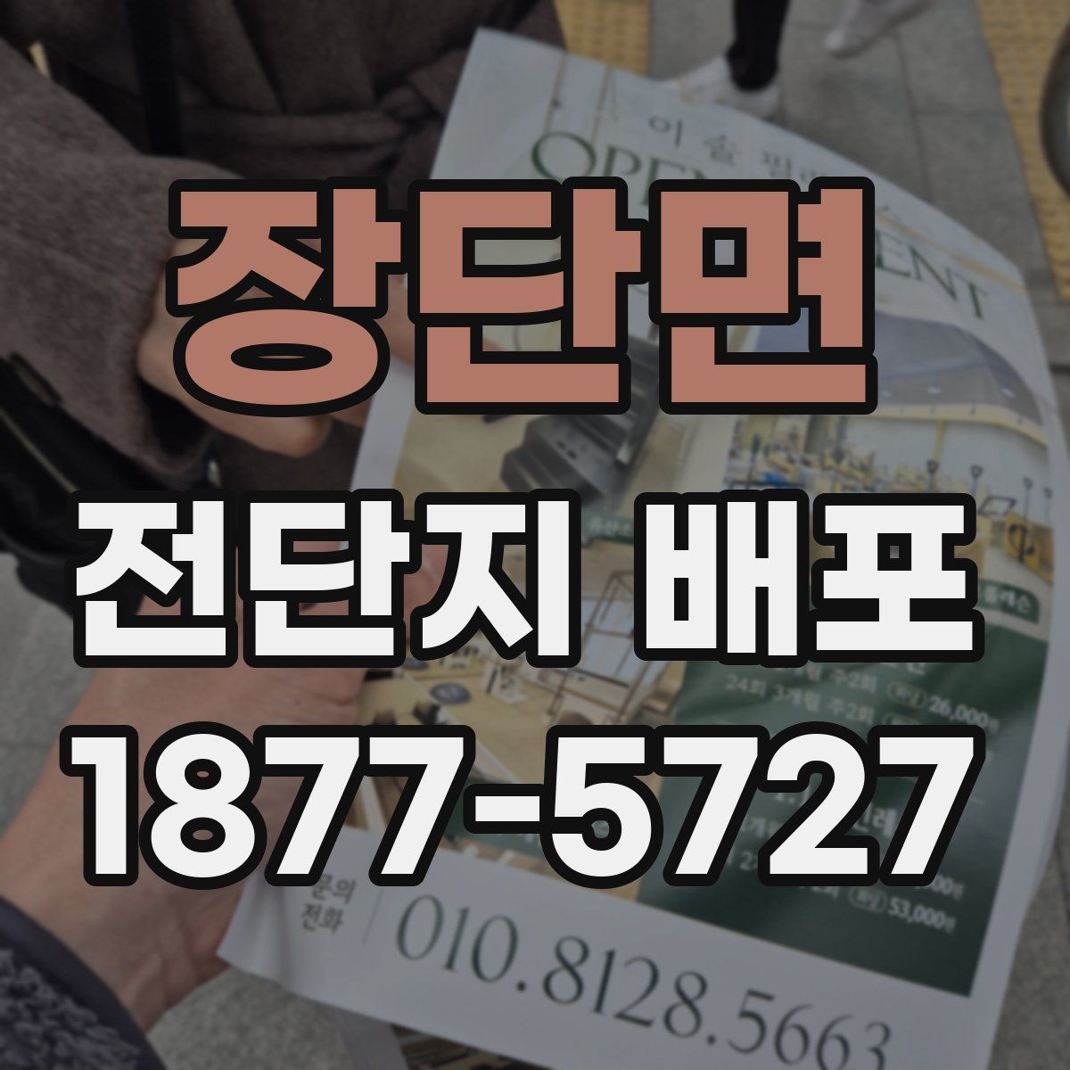 장단면 전단지 배포