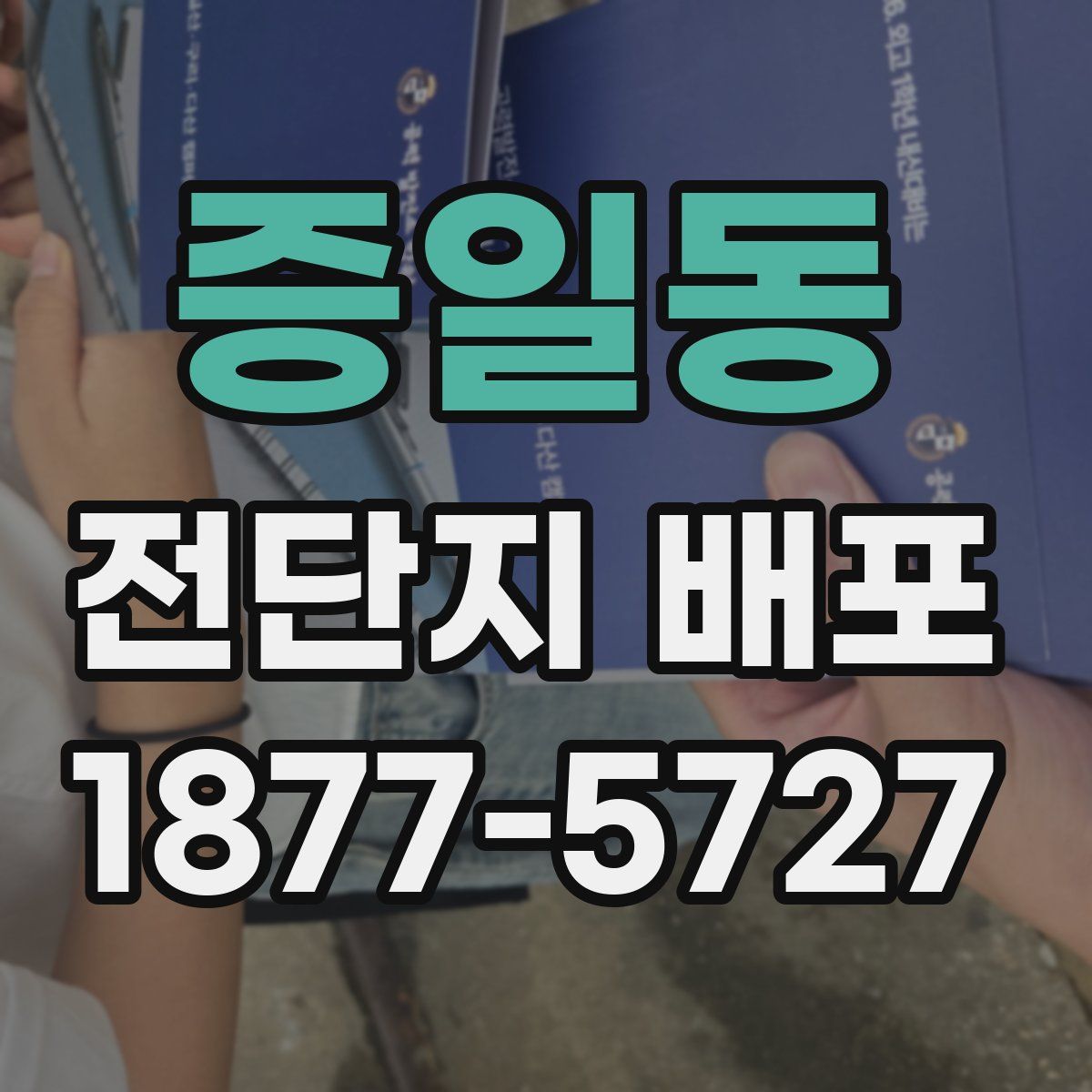 증일동 전단지 배포