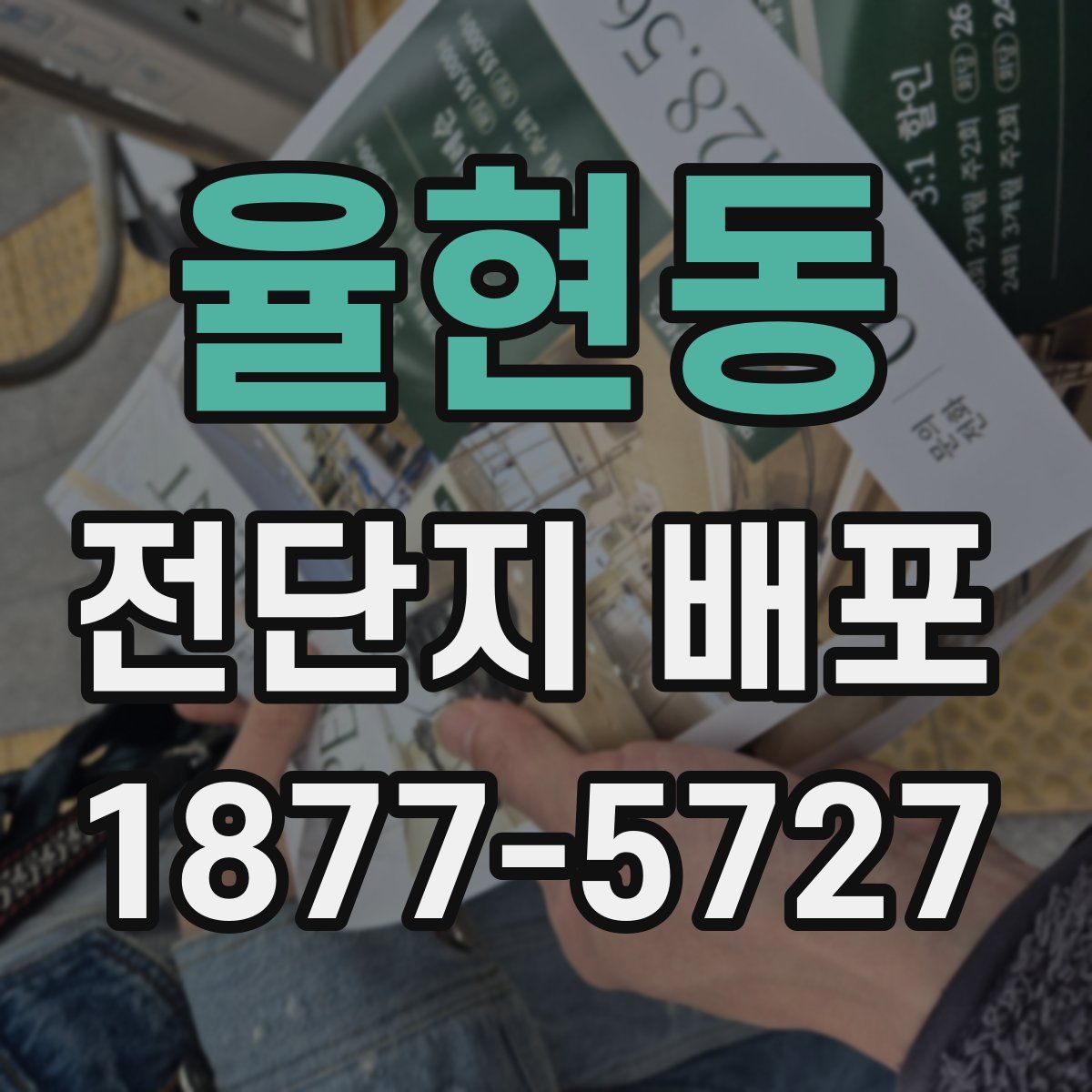 율현동 전단지 배포