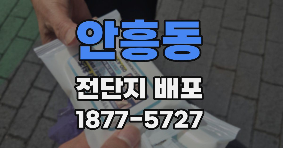 안흥동 전단지 배포
