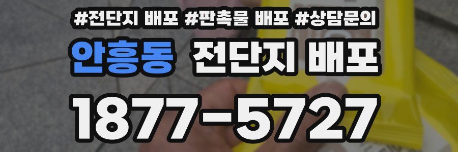 안흥동 전단지 배포