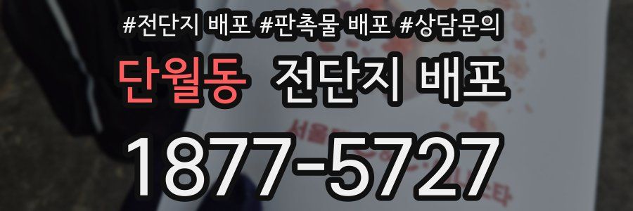 단월동 전단지 배포